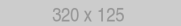 320x125 320x125